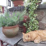 Charmanter Fachwerktraum An Der Stadtmauer * Stromberg (Hunsrueck)