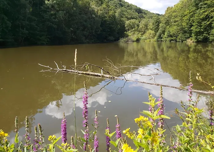 Charmanter Fachwerktraum An Der Stadtmauer *